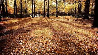 Crowne Plaza Canberra by IHG