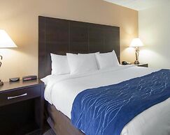 Comfort Inn Oak Ridge - Knoxville