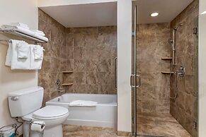 Comfort Inn & Suites Montpelier-Berlin