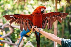 Catamaran Resort and Spa