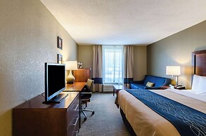 Comfort Inn Randolph - Boston