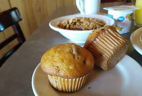 Landmark Lookout Lodge