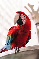 Hyatt Regency Grand Cypress