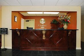 Quality Inn Mullins - Marion