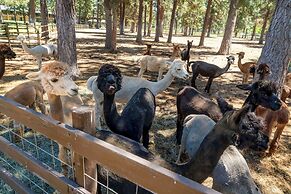 Best Western Ponderosa Lodge