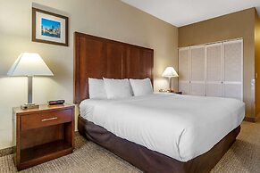 Comfort Inn & Suites Seattle North