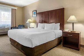Comfort Inn & Suites Seattle North