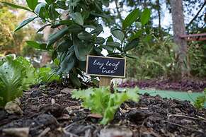 Colony Club by Elegant Hotels