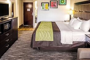 Comfort Inn Downtown Charleston