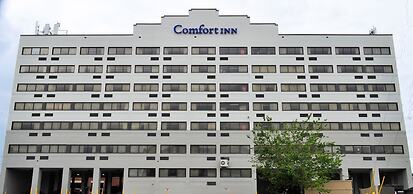 Comfort Inn Downtown Charleston