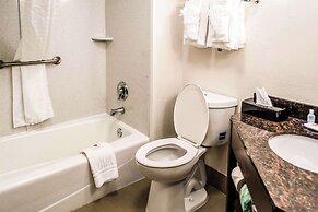 Comfort Inn Downtown Charleston