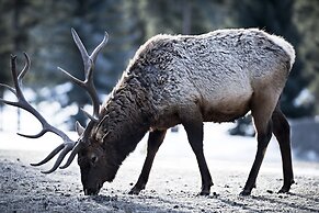 Fairmont Jasper Park Lodge