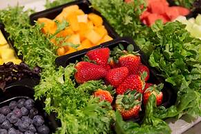 DoubleTree Suites by Hilton Nashville Airport