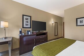 Best Western Plus Plaza by the Green