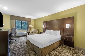 Best Western Plus Plaza by the Green