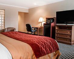 Comfort Inn Livonia