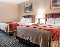 Comfort Inn Livonia