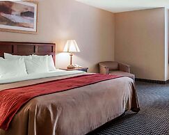Comfort Inn Livonia