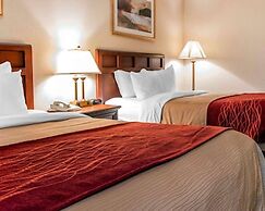 Comfort Inn Livonia