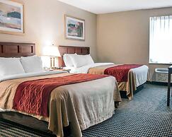 Comfort Inn Livonia