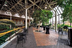 Sheraton Hotel Newfoundland