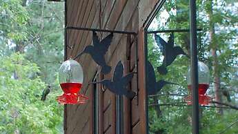 Upper Canyon Inn & Cabins