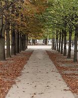 Le Burgundy Paris