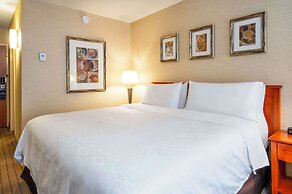 Allure Hotel & Conference Centre, Ascend Hotel Collection