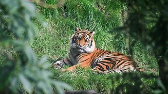 Holiday Inn Birmingham M6 Jct7 by IHG