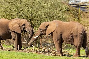 Holiday Inn Birmingham M6 Jct7 by IHG