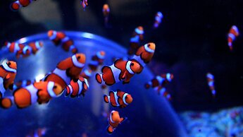 Holiday Inn Birmingham M6 Jct7 by IHG