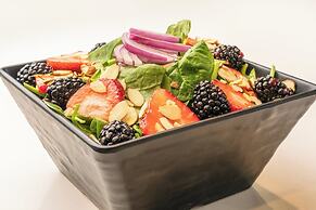 Sheraton Dallas Hotel by the Galleria