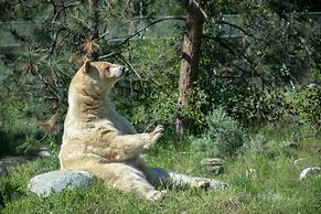 Holiday Inn Express Kamloops by IHG