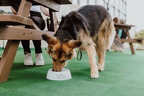 Crowne Plaza Fredericton-Lord Beaverbrook by IHG