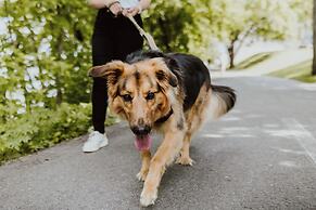 Crowne Plaza Fredericton-Lord Beaverbrook by IHG