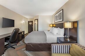 Quality Hotel