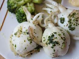 ibis Montpellier Centre  Polygone