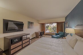 Holiday Inn Guadalajara Expo by IHG