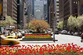 Loews Regency New York Hotel