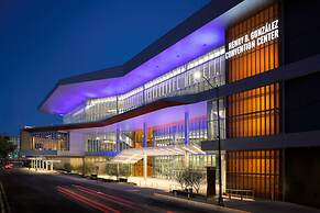 Hilton Palacio Del Rio