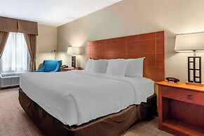 Comfort Inn Civic Center