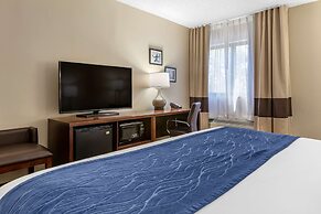 Comfort Inn Near Greenfield Village