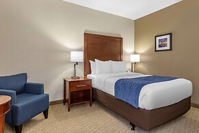 Comfort Inn Near Greenfield Village