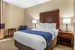 Comfort Inn Near Greenfield Village