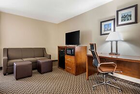 Comfort Inn South