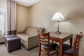 Comfort Inn South