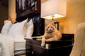 The Algonquin Hotel Times Square, Autograph Collection