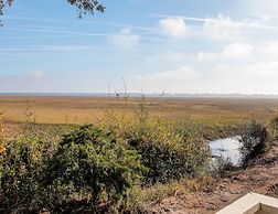 Sea Palms Resort St Simons Island