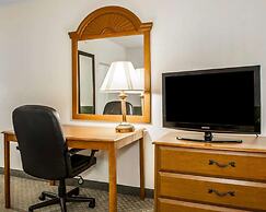 Quality Inn Rochester South