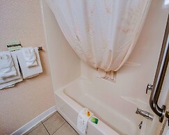 Comfort Inn Virginia Horse Center